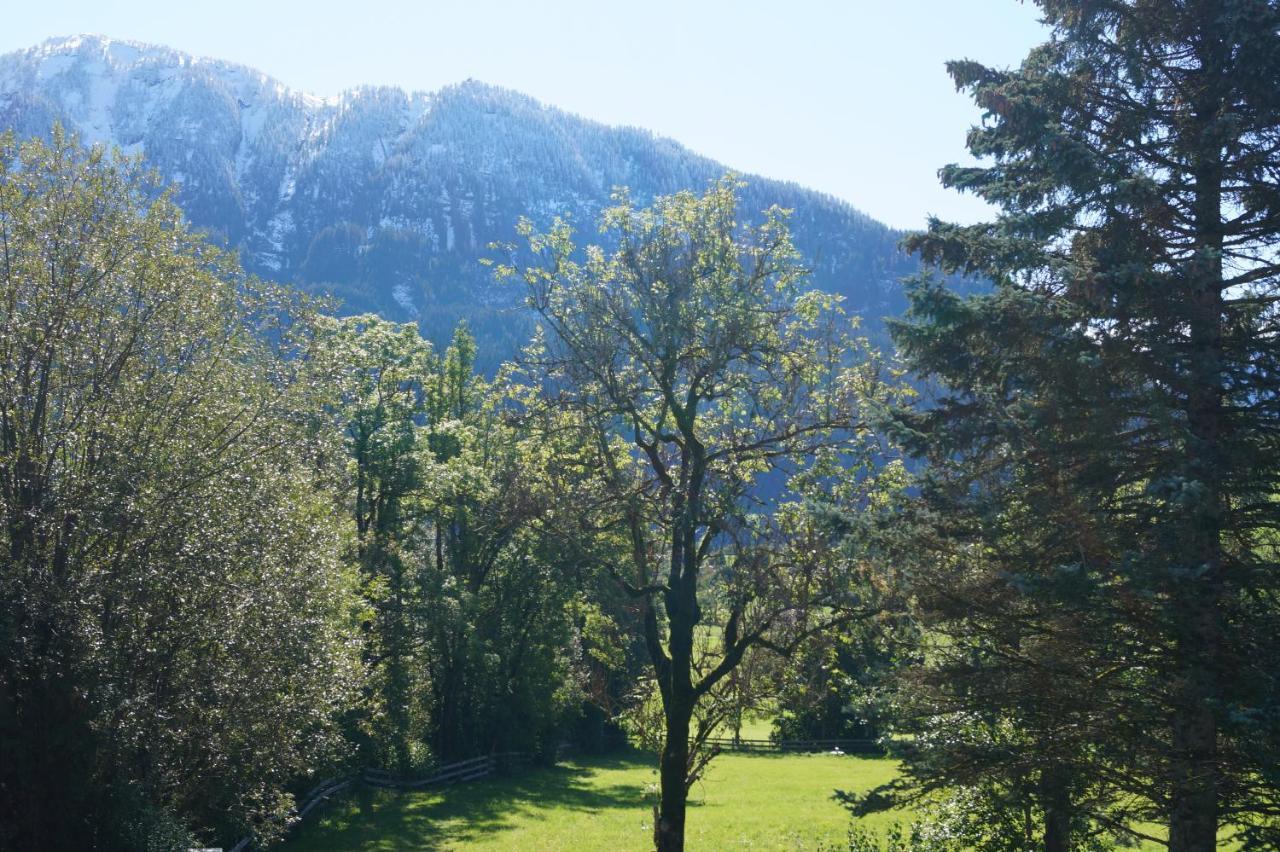 Apartment Alpenpanorama Goldegg Exterior foto